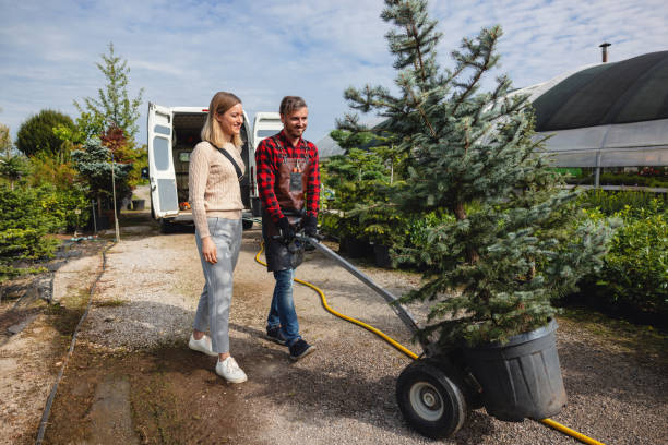 Professional Tree Services in Lugoff, SC